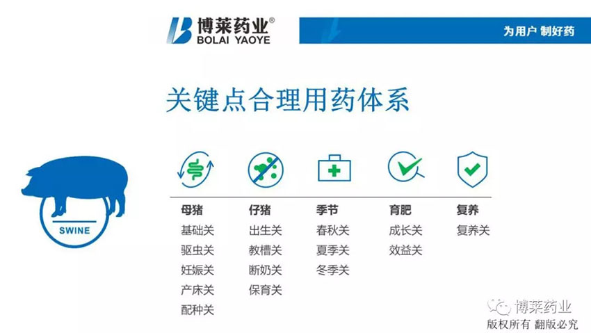 w66利来最给利的老牌